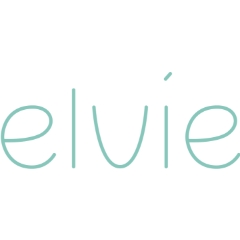 Willow Blossom Holdco Limited