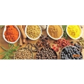 MUSTARD-DILL-AJWAIN-FENUGREEK-FENNEL-CUMIN-CORIANDER-SEED-SEEDS-TURMERIC-BLACK-PEPPER-EXPORTERS-SUPPLIERS-INDIA-DEHYDRATED-ONI_jpg.png