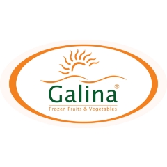 Dutch Food Solutions B.V