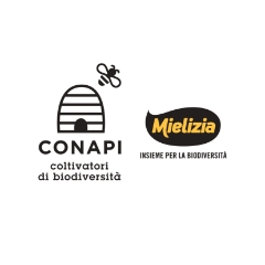 CONAPI SOC. COOP. AGRICOLA