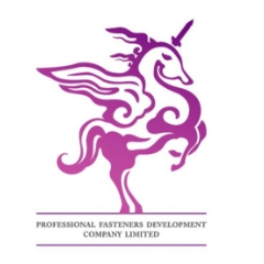 PROFESSIONAL FASTENERS DEVELOPMENT